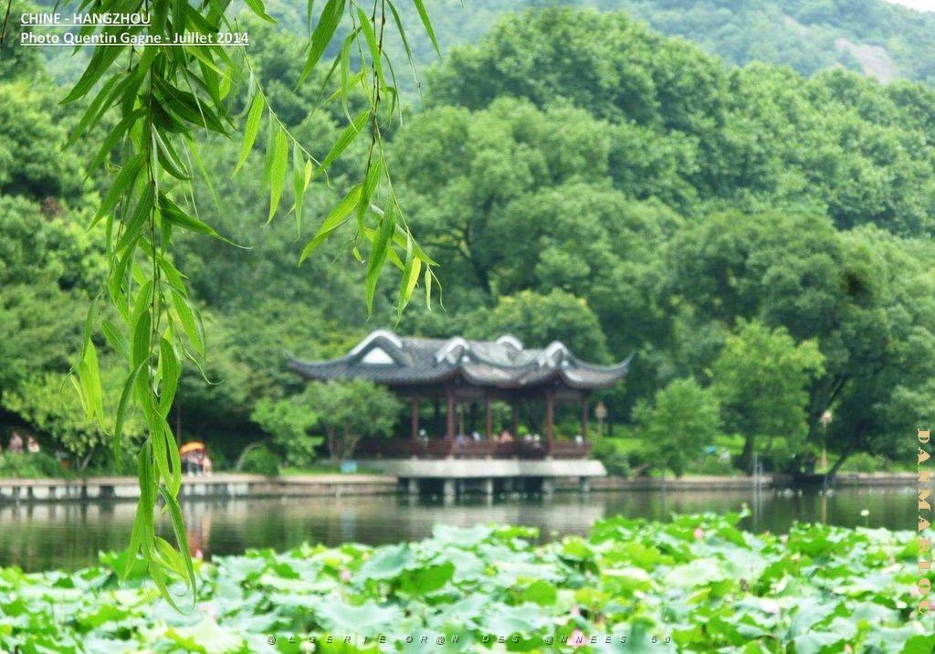 Quentin- Hangzhou 012.JPG